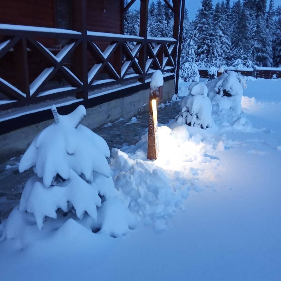 Дома для отпуска Котедж ВІКТОРІЯ Bubnyshche